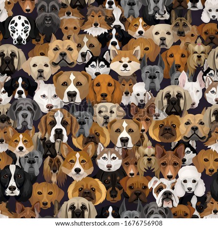 Vector dogs different breeds seamless pattern or wrapping paper dog background with husky, dalmatian, bulldog, schnuzer, spaniel and other breeds