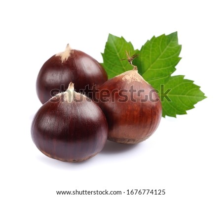 Horse chestnuts with leaves isolated on white backgrounds. Royalty-Free Stock Photo #1676774125