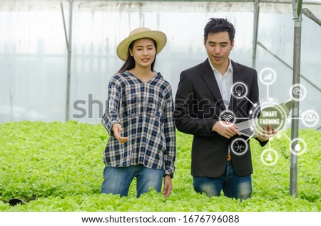 agronomist man and woman farmer checking fresh green oak lettuce salad, organic hydroponic vegetable with laptop in greenhouse garden nursery farm with visual icon, smart farming, agriculture concept