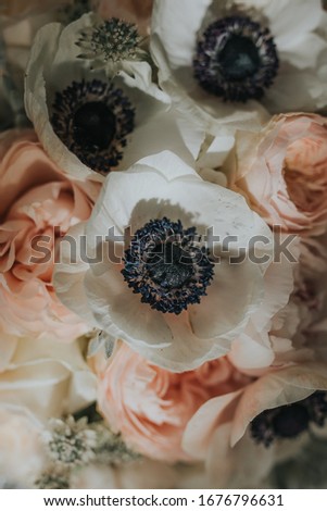 Beautiful flower background in spring. Wedding season. Flower art for important events. 