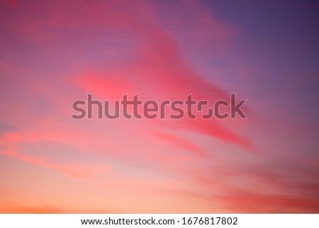 Sky View. Photo of the sky. Background with sky