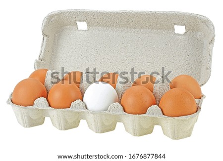 Natural organic chicken eggs in cardboard package isolated on white background. Yellow eggs and one white in package.