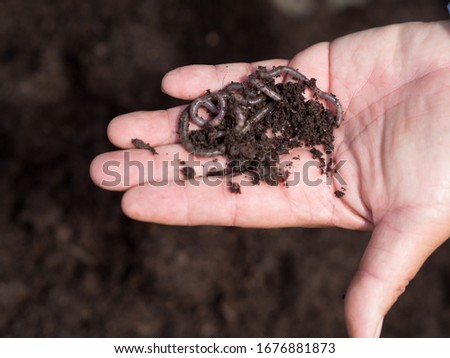 Farmer holding up organic soil with worms in his hand