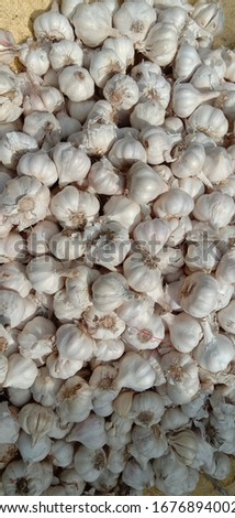 Garlic on a vegetable shop for sale