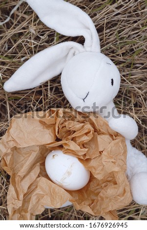 White Plush Bunny. With Eggs with a Hat. Egg symbol of Life. Happy Birth. Easter Holiday Symbol. Eggs on crumpled Paper Nest