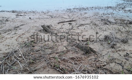 Mud soil and dead grass after flooding
