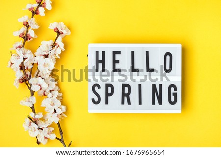 Sprigs of the apricot tree with flowers, lightbox with text Hello spring on light yellow background. The concept of spring came. Top view. Flat lay Hello march, april, may