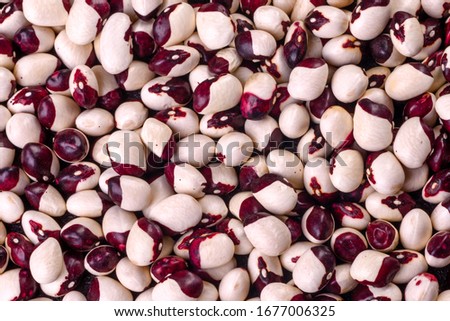 Haricot bean close background with high resolution. Beautiful multicolored beans close-up on a concrete background