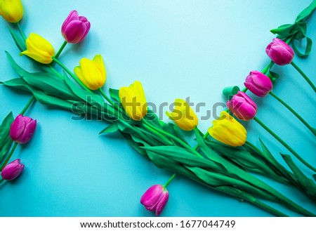 Happy spring card. Creative greeting card with the bouquet of beautiful spring colorful tulips flowers on the light blue background. Copy space, banner or template. Flat lay, still life, top view.