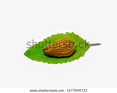 A picture of dry fruits