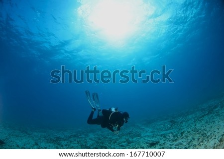 Diver silhouette under water with beautiful sun ray, Hawaii.