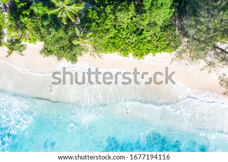 Seychelles beach Mahé Mahe island vacation drone view aerial photo from above photography