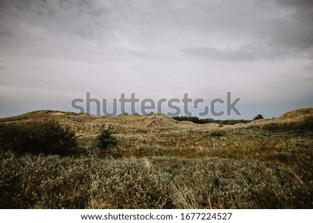 Wide grass dune landscape, Amrum, Germany