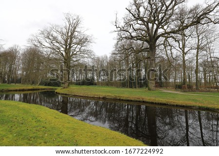 Beautiful reflection in a flat surface of a pond in a Dutch city park. Photo was taken at the very beginning of spring.
