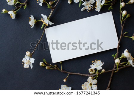 card mockup with cherry flowers on black background. sakura blooming