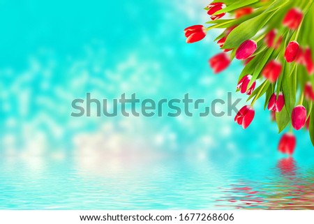 Natural floral background of spring bright flowers. tulip