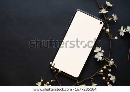phone mockup with cherry flowers on black background. sakura blooming
