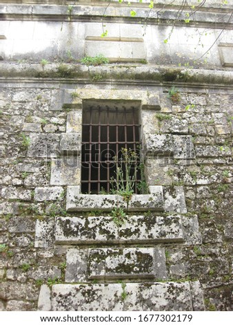 Old stone wall in Bordeaux area of France with old iron rod window and some weeds/flowers growing among the ancient stones.