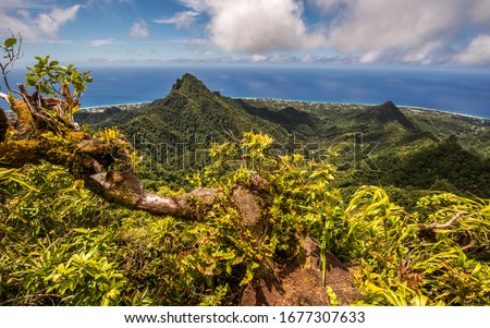 Te Manga track peak scenic view to rain forest jungle. Lookout to green forest of exotic Rarotonga island. Tropical island jungle and rain forest with ocean and coral barrier reef in background.
