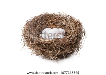 Heap of white eggs in a straw nest on a white background Royalty-Free Stock Photo #1677318595