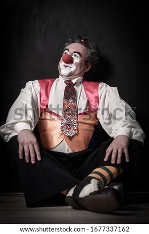 Beautiful photos of Russian circus clown