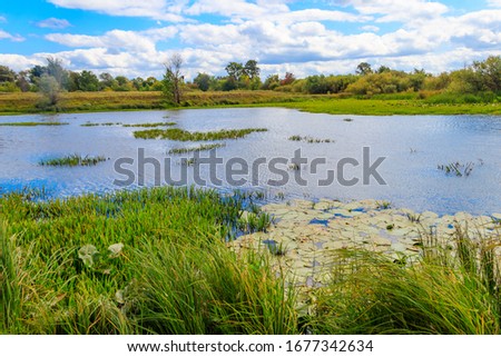 Summer landscape with beautiful river, green trees and blue sky Royalty-Free Stock Photo #1677342634