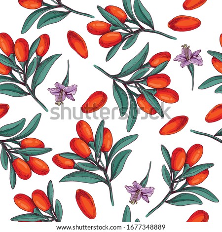 Hand drawn goji berries. Vector illustration in retro style isolated on white background. Vector seamless pattern. Royalty-Free Stock Photo #1677348889