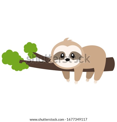 Cute Sloth Vector Illustration on White