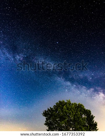 Green Tree with Milky Way and Stars in the Background
