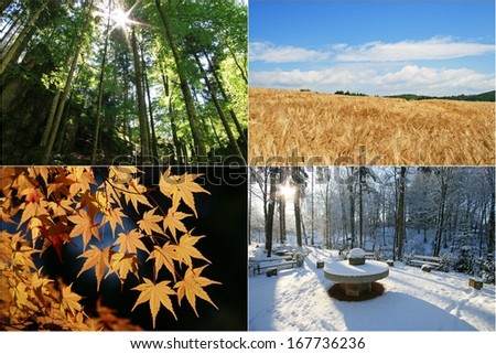 four seasons Royalty-Free Stock Photo #167736236