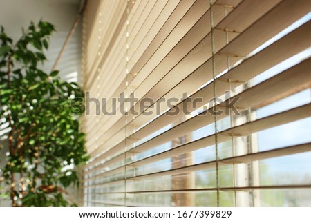 bamboo blinds and green plant on the window with sunshine Royalty-Free Stock Photo #1677399829
