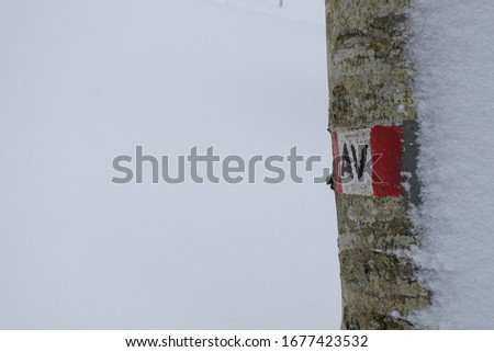 
white and red sign on snow covered tree during a storm