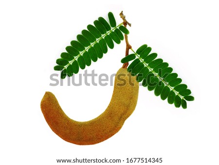 Tamarind with leaf isolated on white background