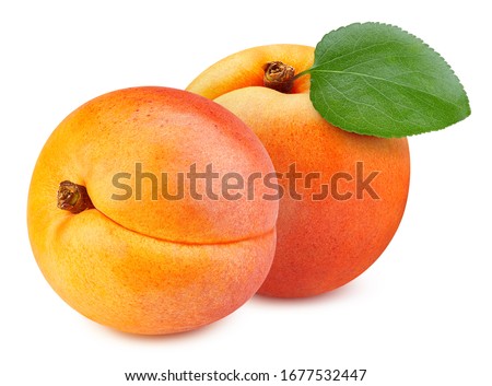 Apricot leaves isolated on white background. Apricot fruit clipping path. Fresh organic apricot. Royalty-Free Stock Photo #1677532447