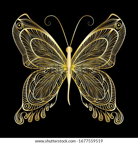 Beautiful  butterfly. Vector illustration. EPS 10