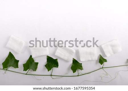 Cotton  leaves flowers on a white background