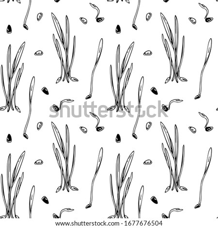 Hand drawn barley micro greens seamless pattern. Vector illustration in sketch style isolated on white background