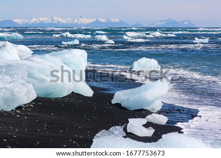 beautiful blue and white ice on black volcanic sand on "Diamond beach" in Iceland.