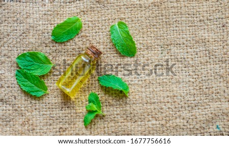 Essential oil of peppermint in a small bottle with fresh green mint on an old wooden background, selective focus