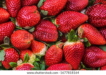 Natural background of red strawberries on the table ready to eat Royalty-Free Stock Photo #1677818164