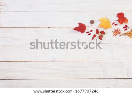 autumnal natural wooden background with autumn decoration