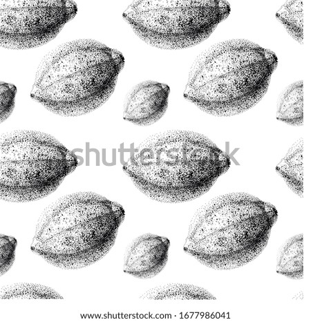 lemon pattern, black and white illustration, food, fruit, exotic
