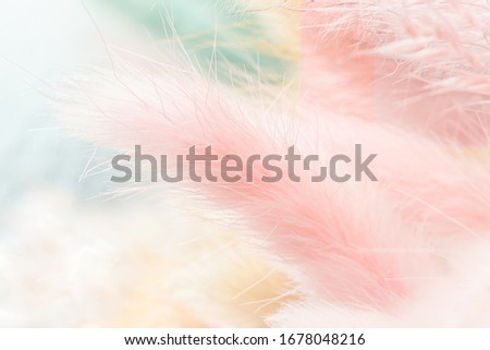 Pale pink, blue and beige colored fluffy dried weeds as background. Closeup view, horizontal orientation