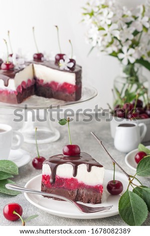 black forest ice cream cake with cherry and chocolate sauce in spring or summer mood
