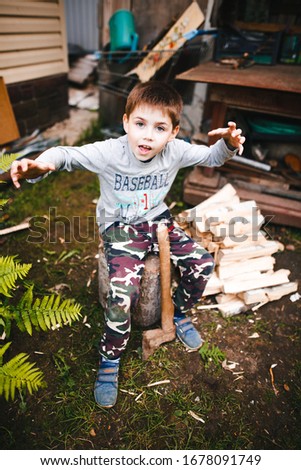 
Country boy chopping wood in the village.