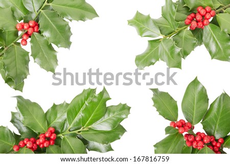 Holly twig border, Christmas decoration isolated on white, clipping path included