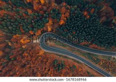 Autumn colorful roadway through scenic woods