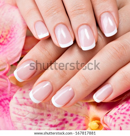 Beautiful woman's nails with beautiful french manicure   Royalty-Free Stock Photo #167817881