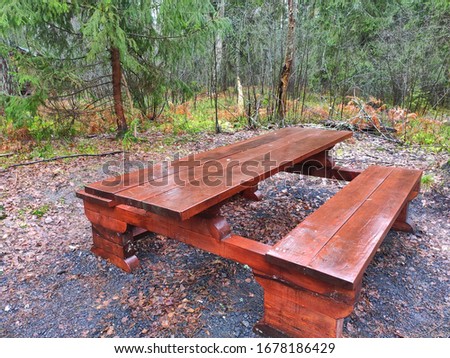  Table with benches in the forest for relaxation