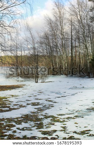 early spring with snow in the forest on the lake
